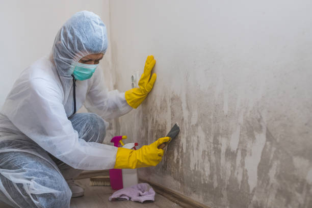 Best Emergency Mold Removal  in Savannah, GA