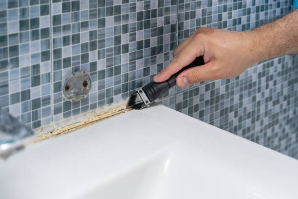 Best Mold Damage Repair  in Savannah, GA
