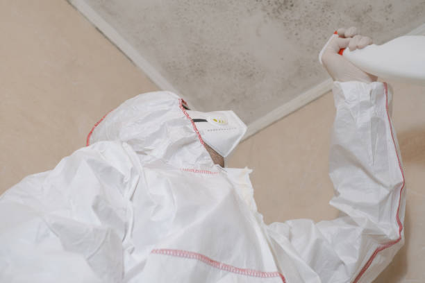 Best Mold Removal Specialists  in Savannah, GA